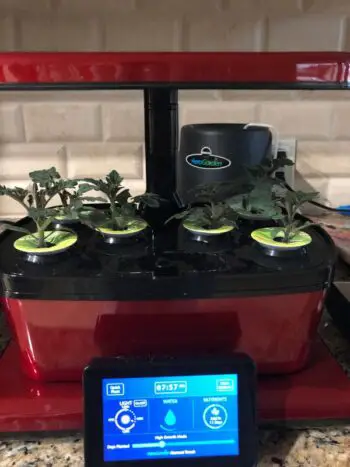 How Do I Turn Off "Add Plant Food" Light On My AeroGarden?