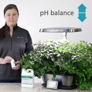 Knowing The Right pH For Nutrients In Aerogarden Plants